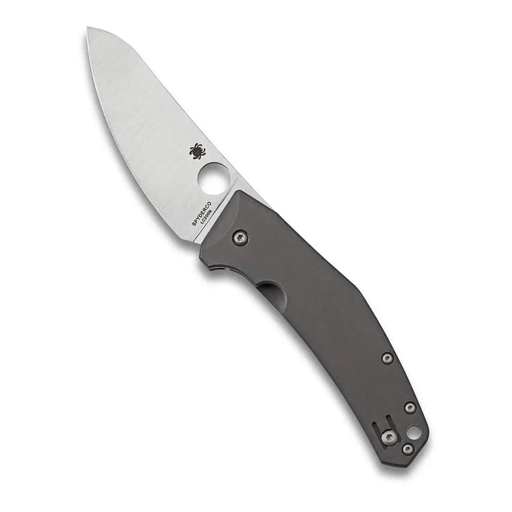 Spyderco Spydiechef Premium Chef Knife with 3.32" LC200N Ultra-Corrosion-Resistant Steel Blade and Titanium Handle