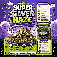 Dr. Nugget Super Silver Haze THC Flor