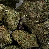 Super Silver Haze Greenhouse Exotic