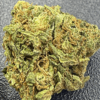 Super Silver Haze Greenhouse Exotic