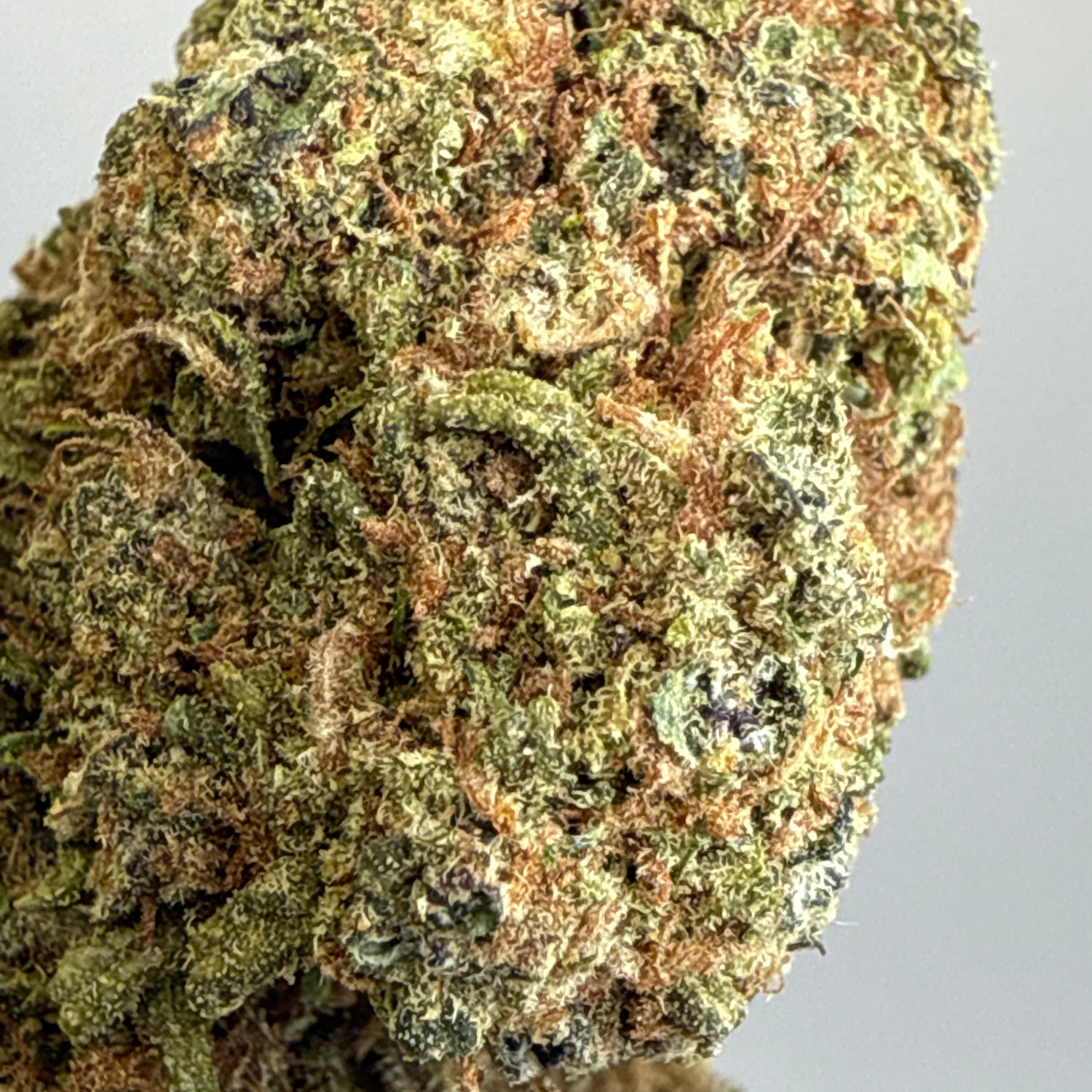 Super Skunk Greenhouse Exotic
