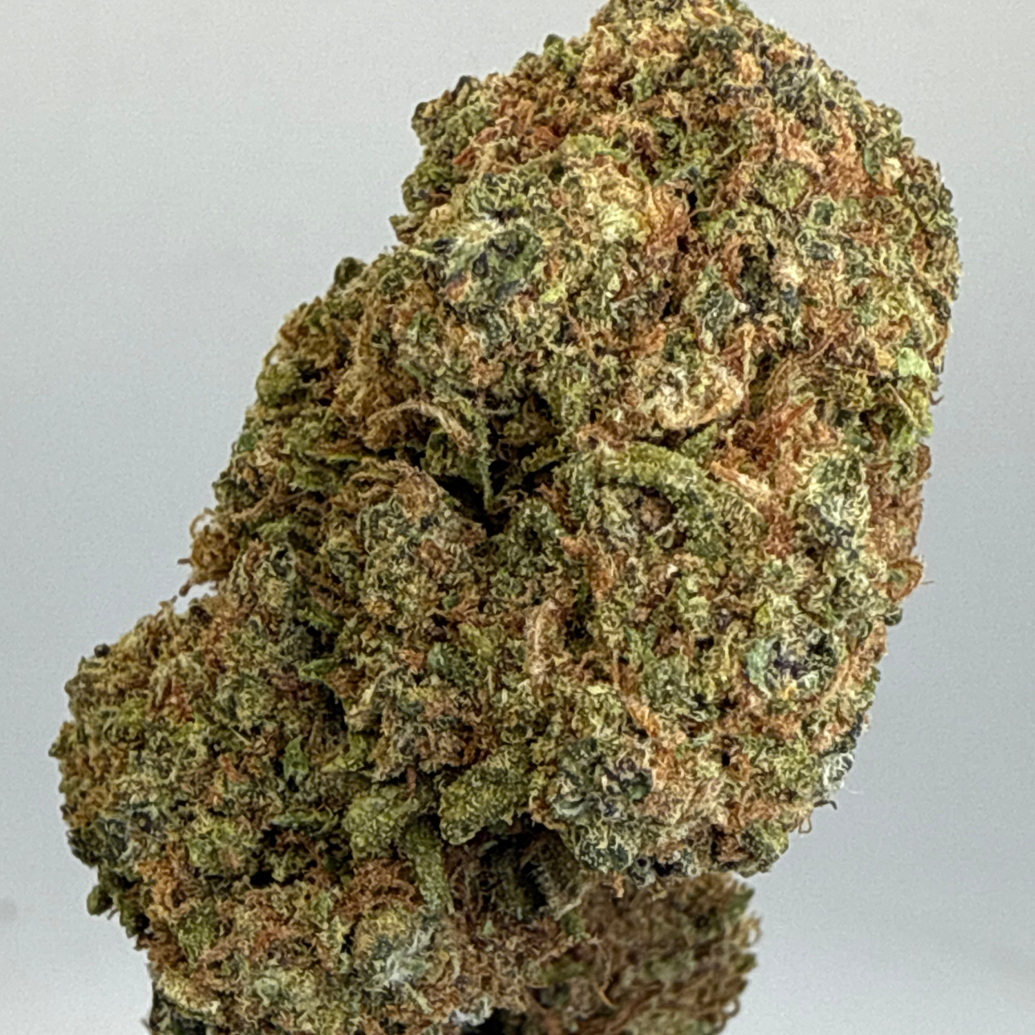 Super Skunk Greenhouse Exotic
