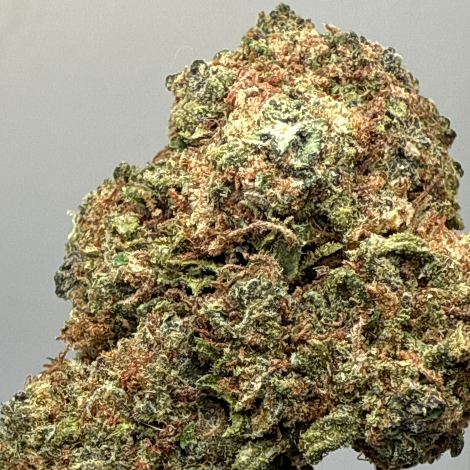 Super Skunk Greenhouse Exotic