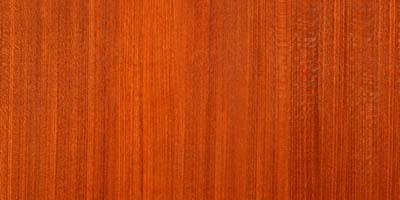 Transparent Redwood