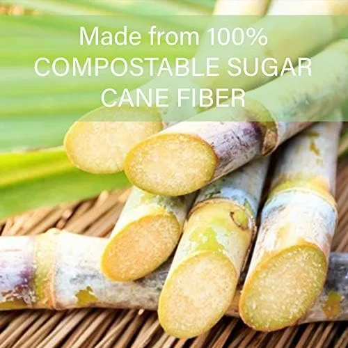 100% Compostable Natural Plant Fiber Bowl, 32-Ounce, (Pack of 500) 32-Ounce 500-Count