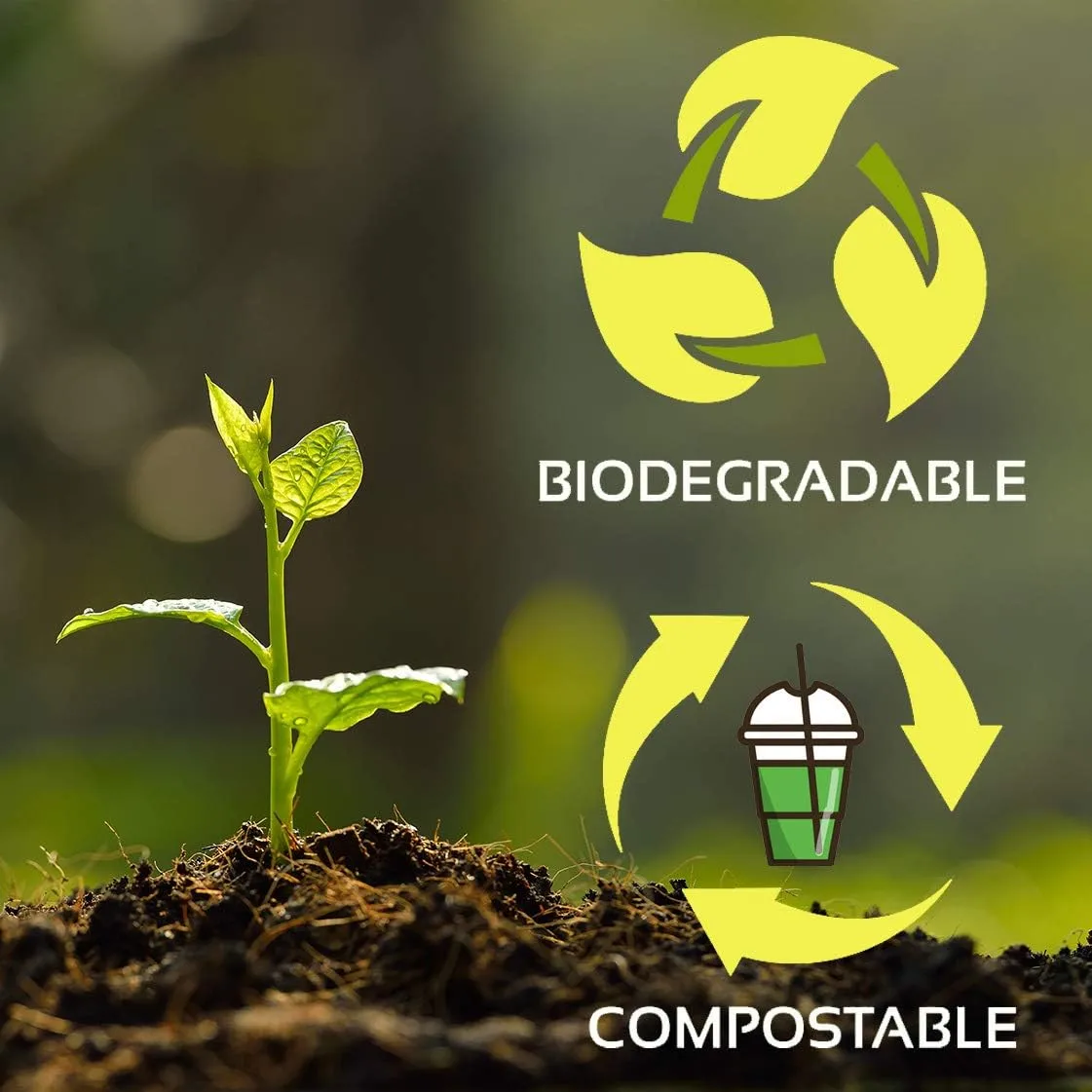 Planet+ 100% Compostable PLA Lids for 9/12/16/20/24-Ounce Clear Cold Cups, Flat Style, 1000-Count Case