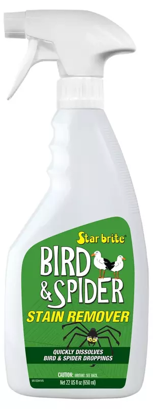 STAR BRITE Spider & Bird Stain Remover - 22 OZ (095122P)