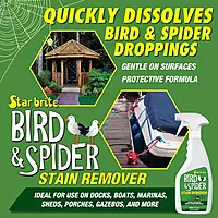 STAR BRITE Spider & Bird Stain Remover - 22 OZ (095122P)