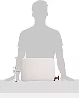 STAR BRITE Do-It-Yourself Winterizing/Engine Descaling Kit