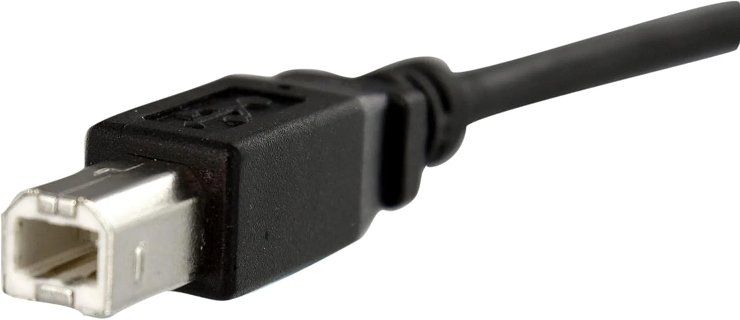 StarTech.com 1 ft Panel Mount USB Cable B to B - F/M - USB Type B (F) to USB Type B (M) - USB 2.0 - Molded Hood