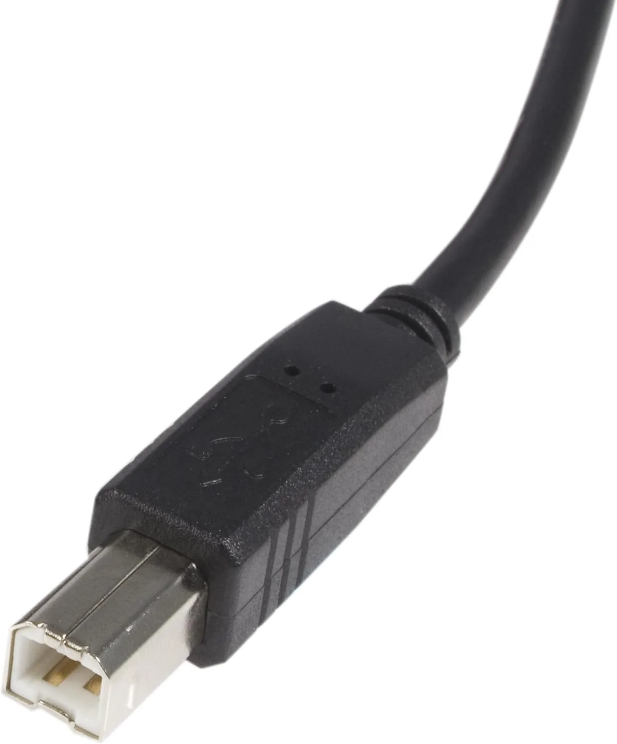 StarTech.com 1 ft USB 2.0 A to B Cable - M/M - USB cable - USB (M) to USB Type B (M) - USB 2.0 - 1 ft - black - USB2HAB1