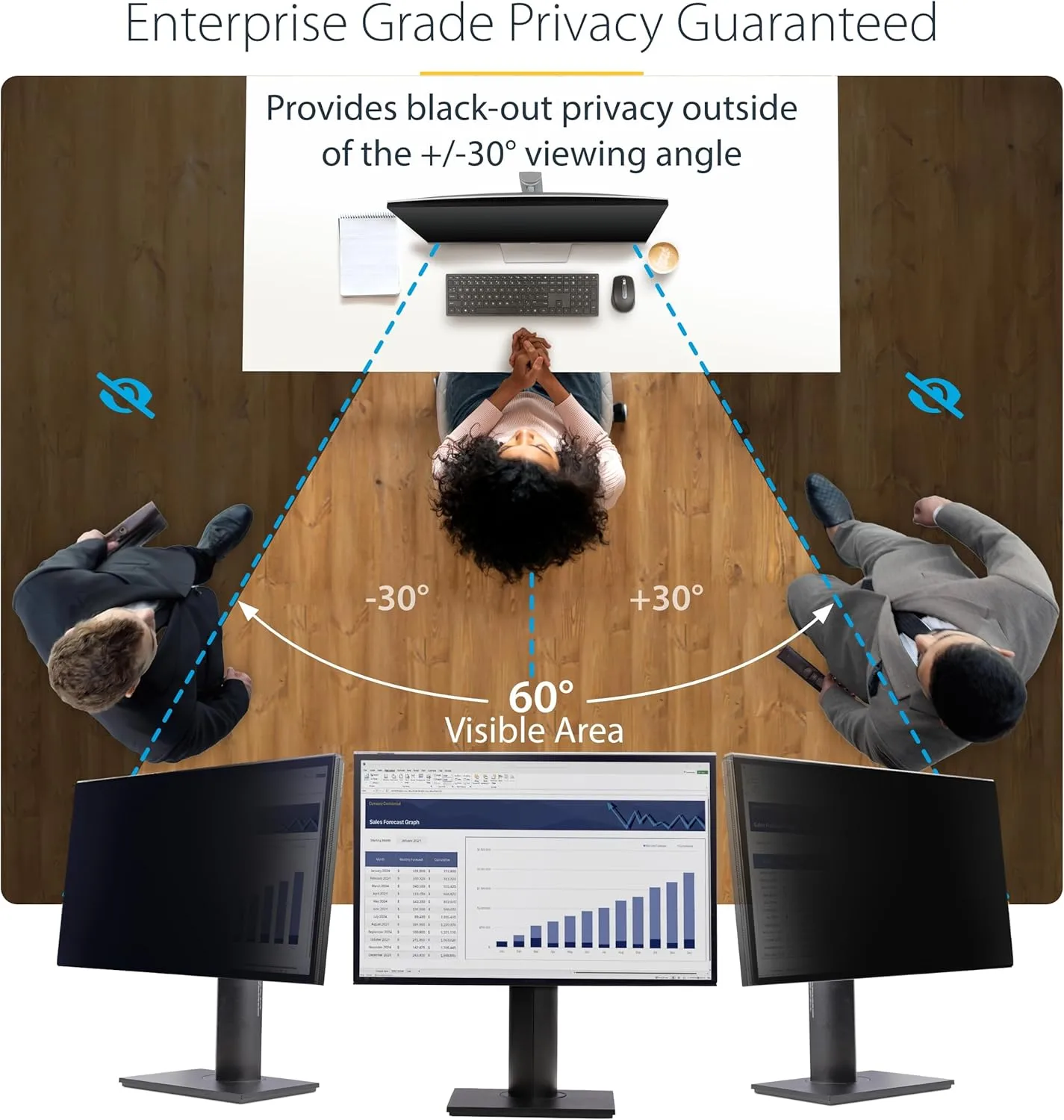 StarTech.com Hanging Acrylic Monitor Privacy Screen 16:9 ±30°