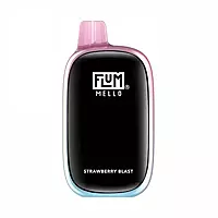 FLUM MELLO