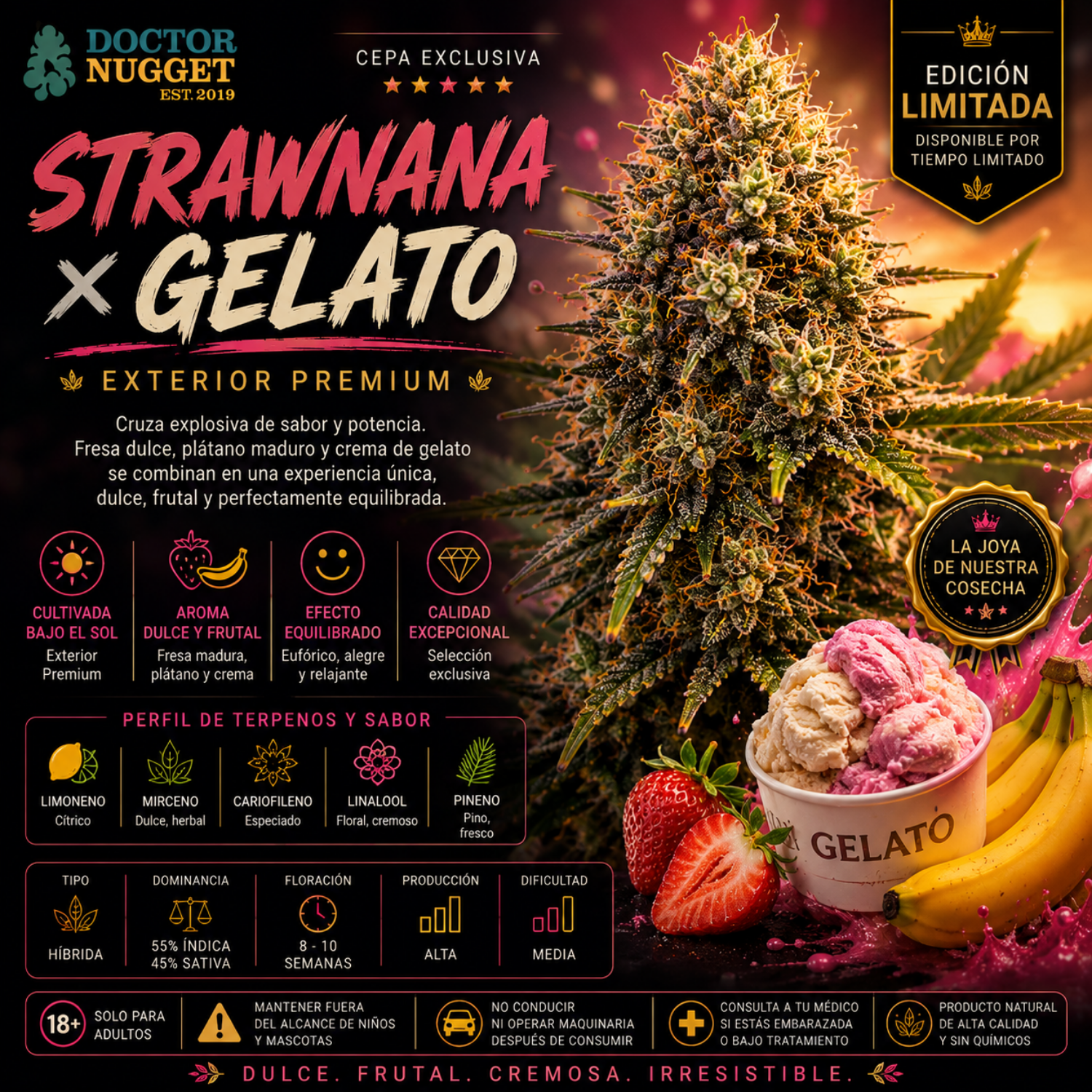 Dr. Nugget Strawnana x Gelato THC Flor