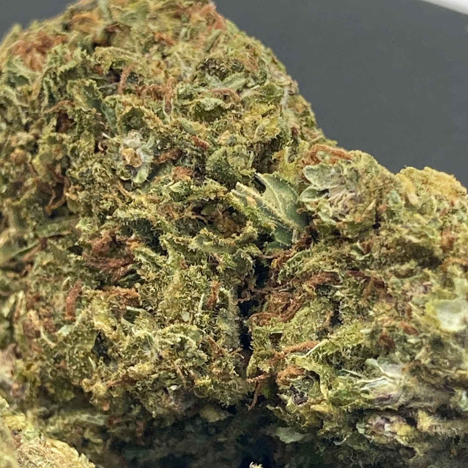 Strawnana × Gelato Exterior Premium Edición Limitada