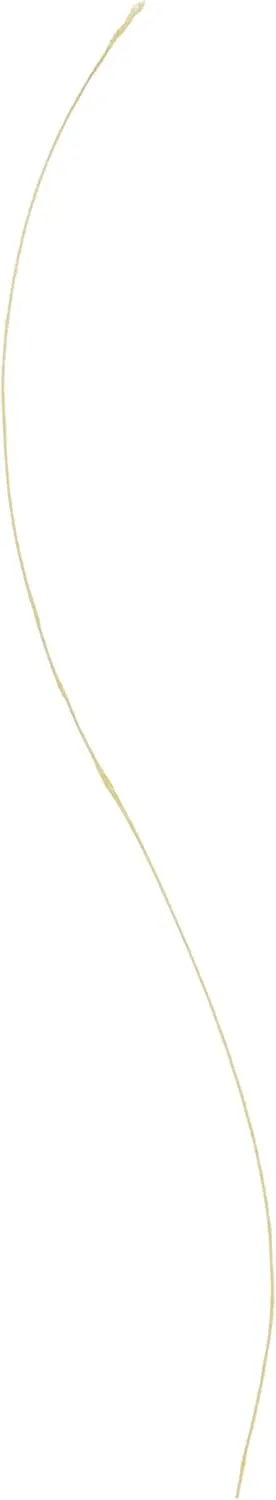 Sufix 832 Advanced Superline Braid, Hi-Vis Yellow, 10-Pound/300-Yard Spool (660-110Y)