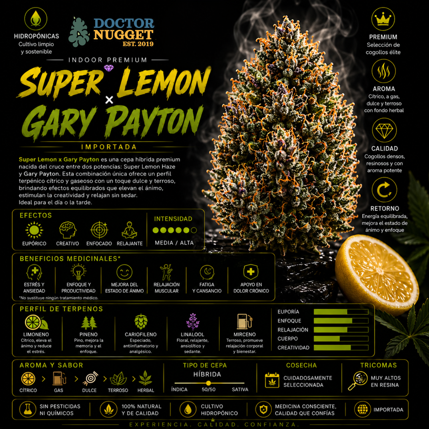 Dr. Nugget Super Lemon x Gary Payton flor premium híbrida importada