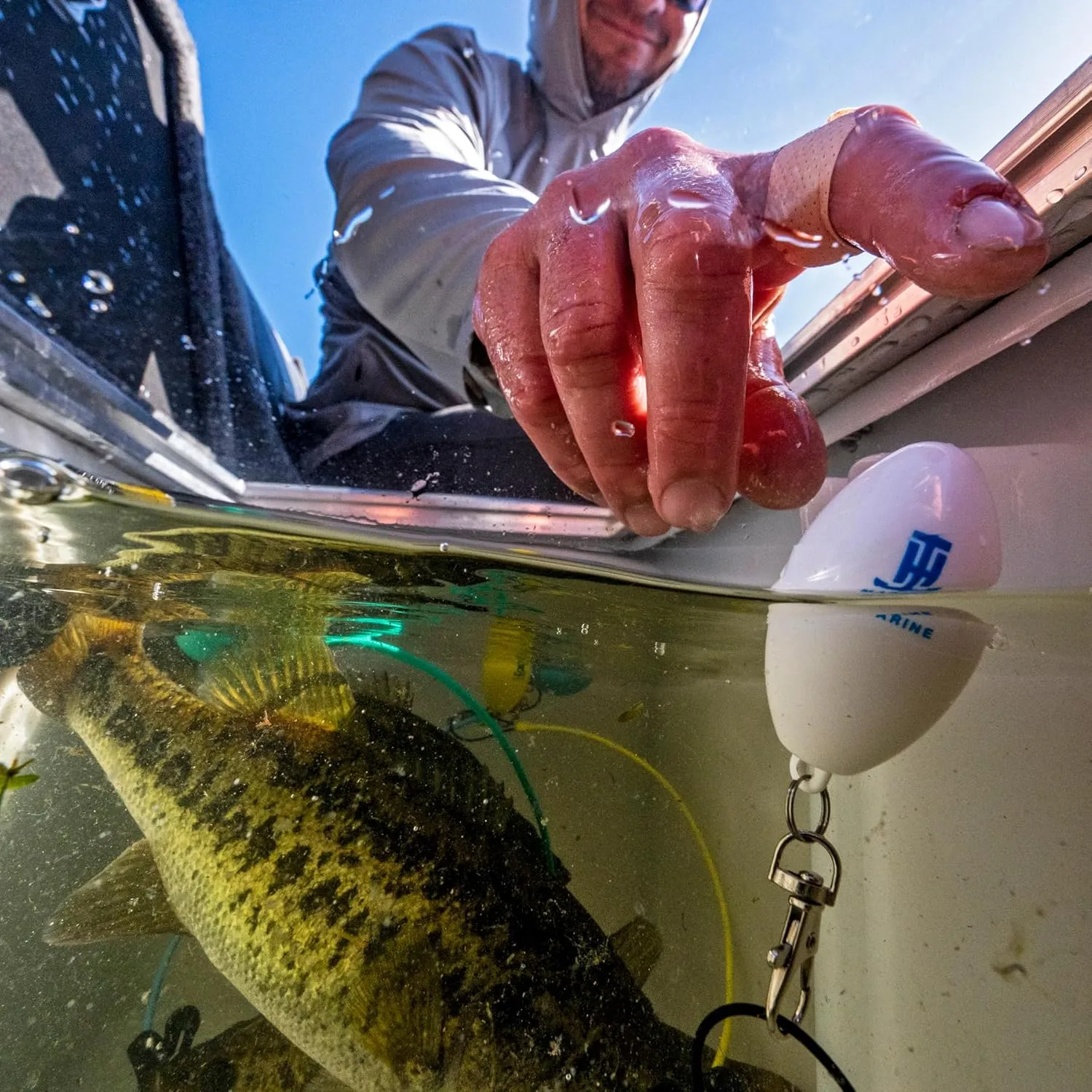 T-H Marine G-Force Conservation Cull System Gen 2 | Eco-Friendly Color-Coded Fishing Culling System with Precision Fish