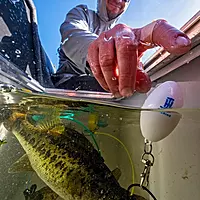 T-H Marine G-Force Conservation Cull System Gen 2 | Eco-Friendly Color-Coded Fishing Culling System with Precision Fish