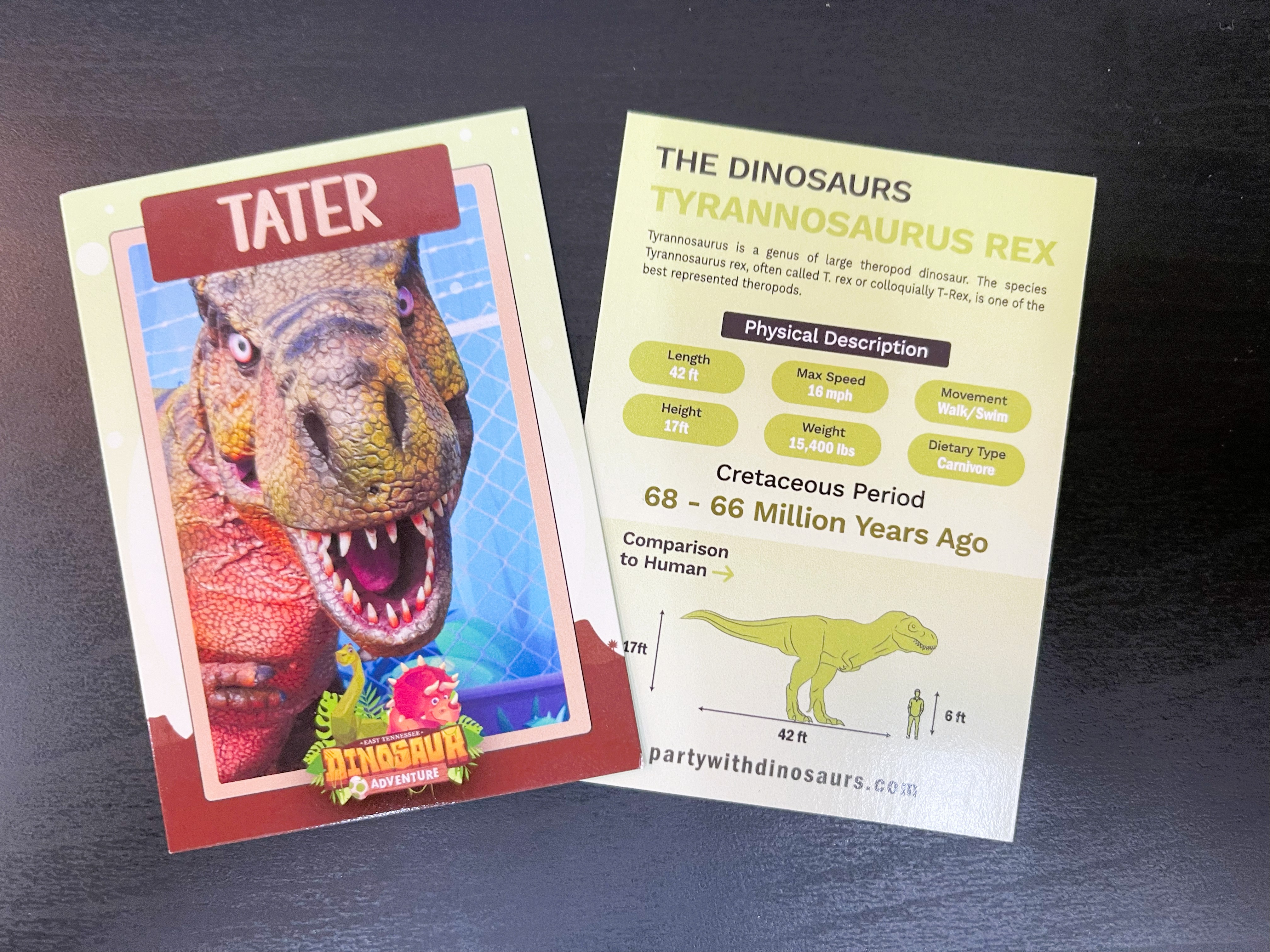 Custom Dinosaur Trading Cards