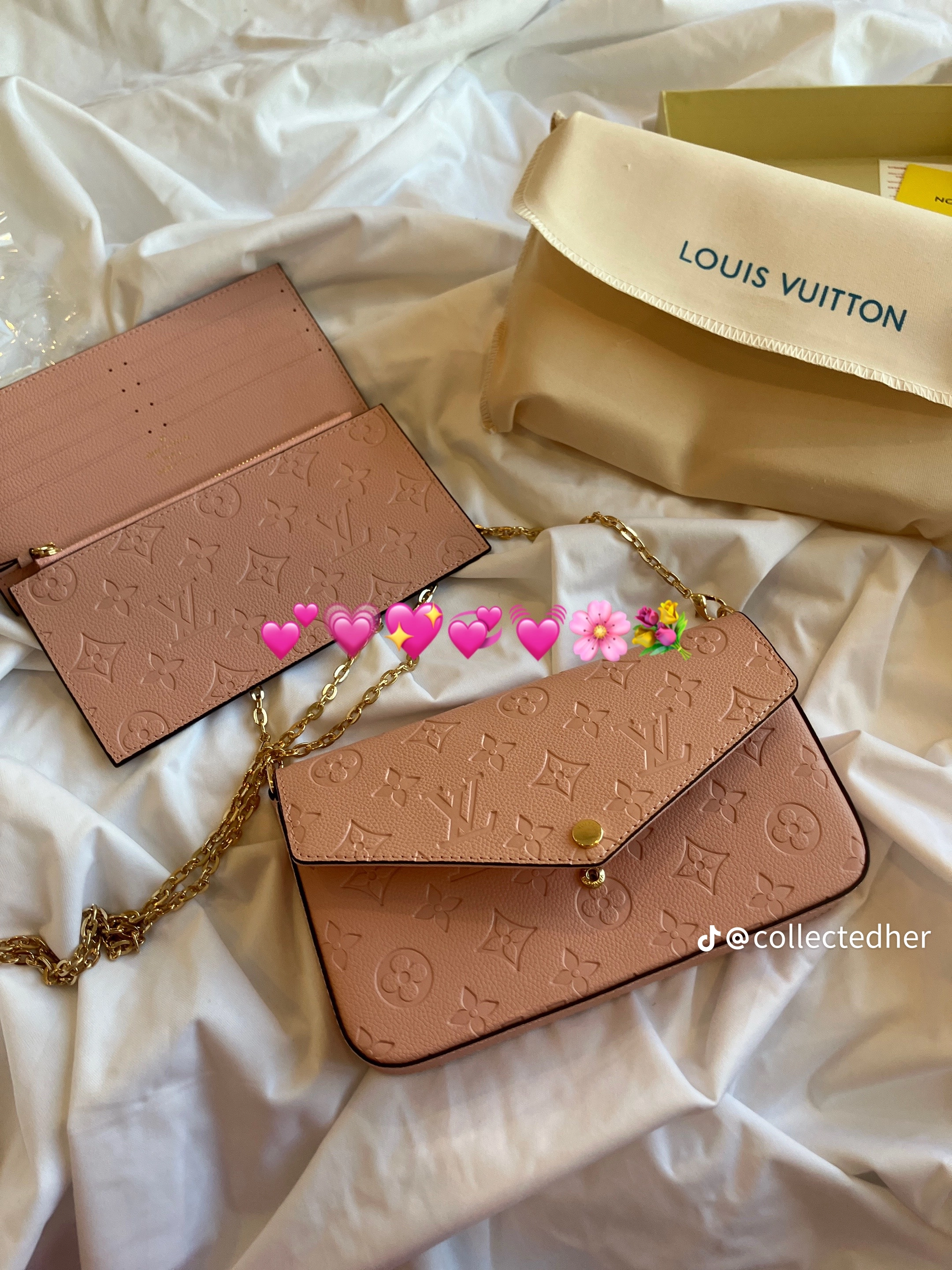 LOUIS VUITTON PURSE