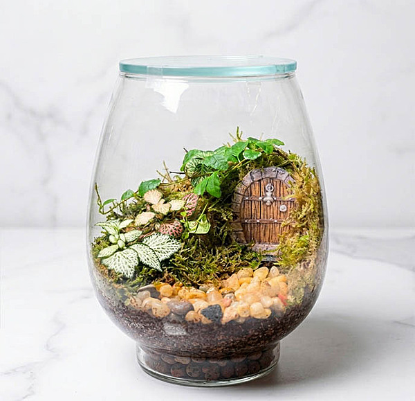 Fairy Door Closed Glass Terrarium