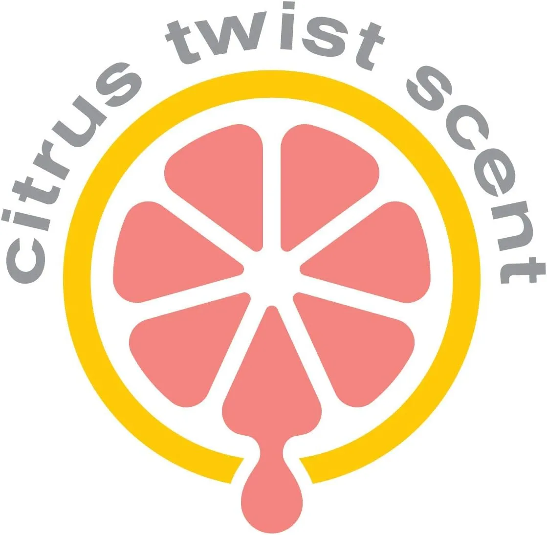 Thetford AquaBio 96590 RV Holding Tank Treatment Citrus Twist Scent Formaldehyde Free 16 Toss-Ins (Pack of 4)