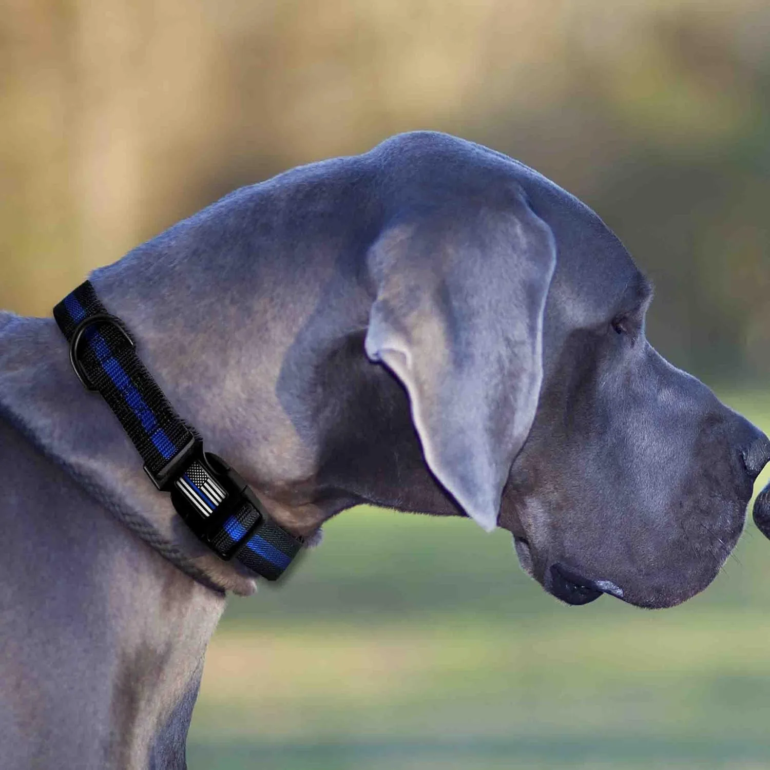 THIN BLUE LINE USA Thin Blue Line Dog Collar