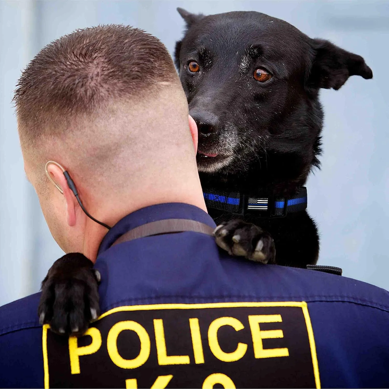 THIN BLUE LINE USA Thin Blue Line Dog Collar