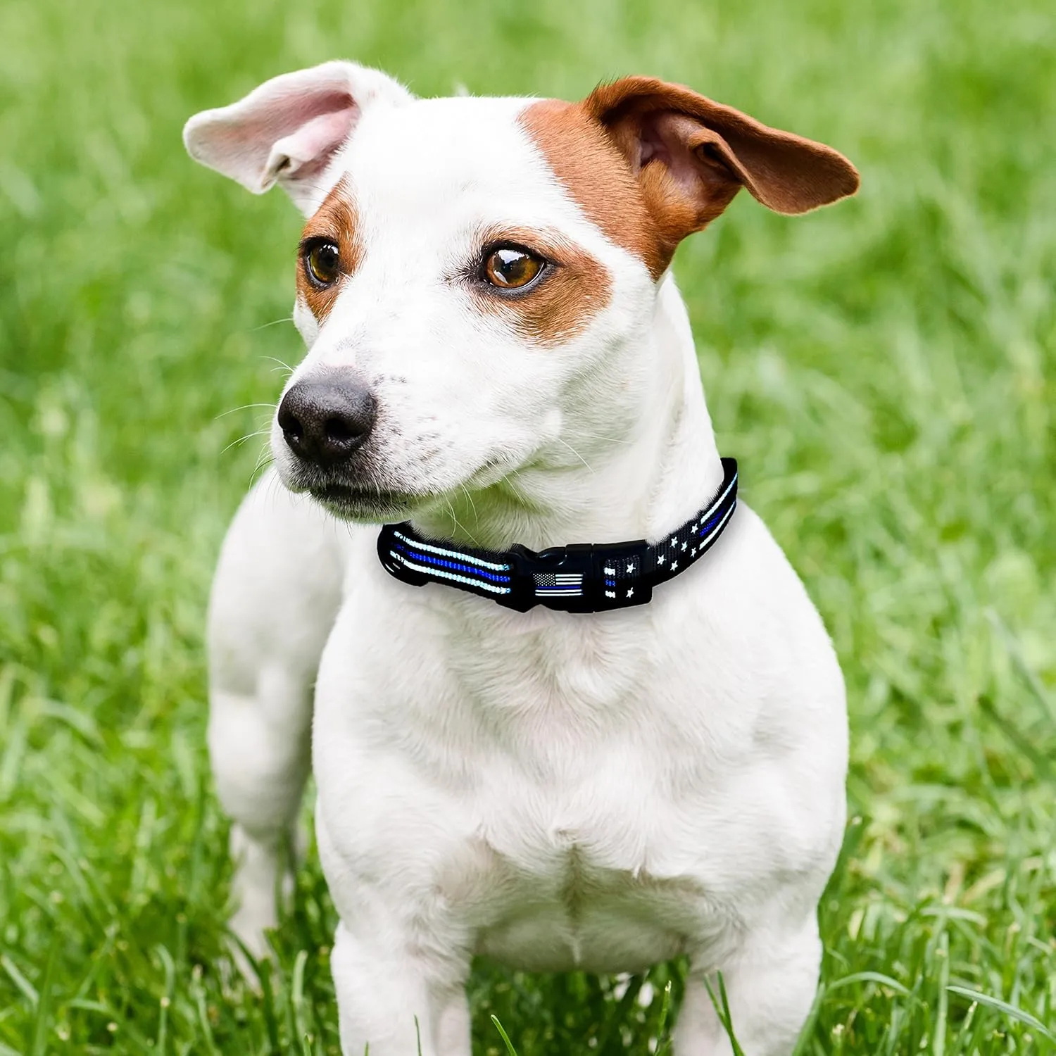 THIN BLUE LINE USA Stars & Stripes Dog Collar American Flag