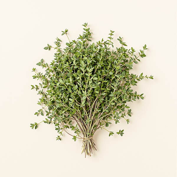Thyme / Tomillo | Per Container