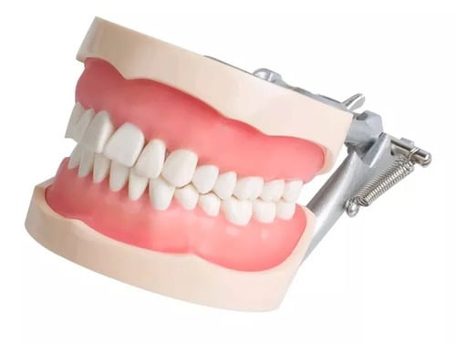 TIPODONTO 860 ENCIA SUAVE ADULTO TIPO COLUMBIA