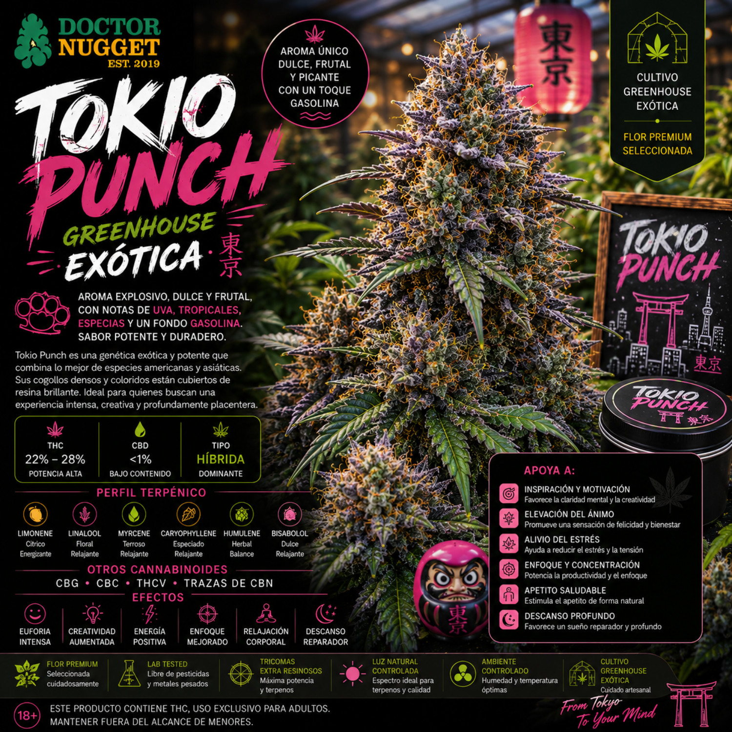Dr. Nugget Tokio Punch THC Flor