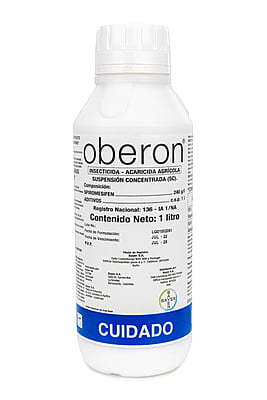 OBERON SC240 X 100 CC