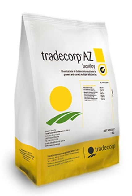 AZ BENTLEY X 1KG