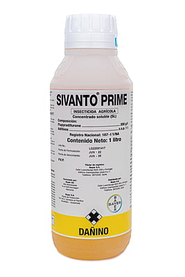 SIVANTO PRIME X 1 LT
