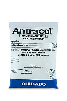 ANTRACOL WP70 X 400 GRS