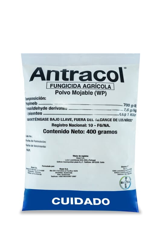 ANTRACOL WP70 X 400 GRS