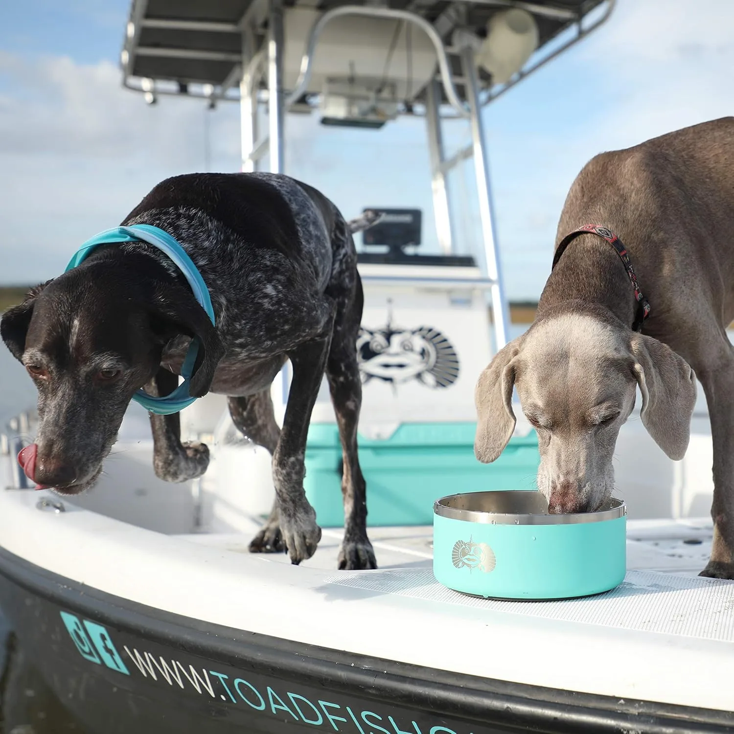 TOADFISH Non-Tipping Dog Bowl - Double-Walled Stainless Steel with SmartGrip
