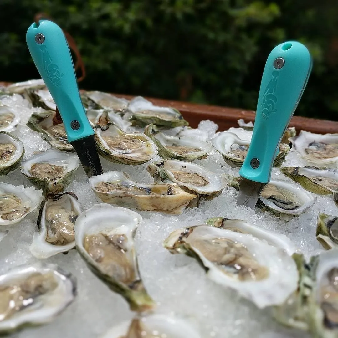 Toadfish Oyster Shucking Knife, Oyster Opener Tool - Teal