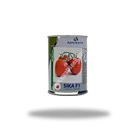 TOMATO SIKA F1