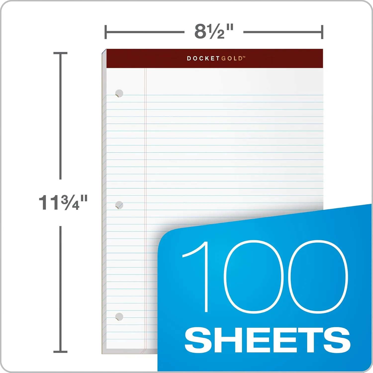 TOPS Docket Gold Writing Pads, 8-1/2 x 11-3/4, Narrow Rule, 100 Sheets, 2 Pack (99706)