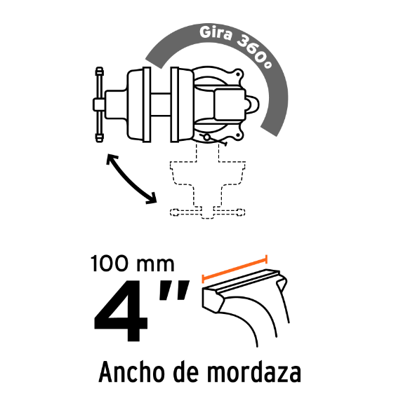 Tornillo de banco tipo Europeo, hierro nodular, 4' - TA-4-L / 100199