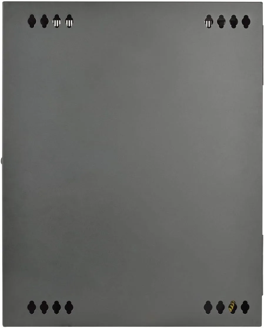 Tripp Lite 15U Wall Mount Rack Enclosure Server Cabinet, Hinged, 20.5" Deep (SRW15US)