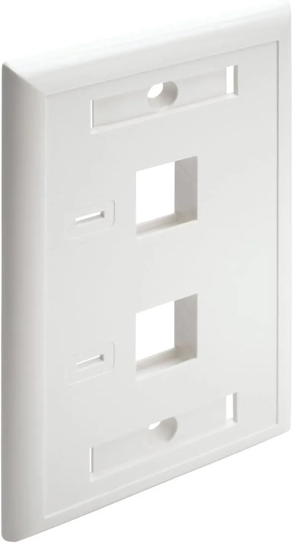 Tripp Lite Dual Outlet RJ45 Universal Keystone Face Plate / Wall Plate White, 2-Port(N042-001-WH)