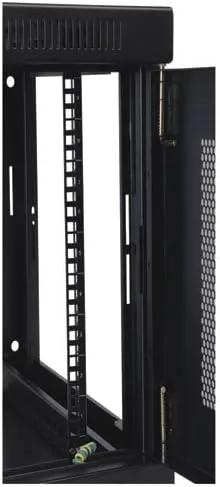 Tripp Lite 9U Wall Mount Rack Enclosure Server Cabinet, 16.5" Deep, Switch-Depth (SRW9U),Black
