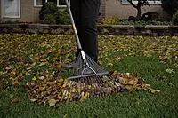 True Temper 2604512 Steel Leaf Rake 22- Inch 22-Inch Steel Leaf Rake