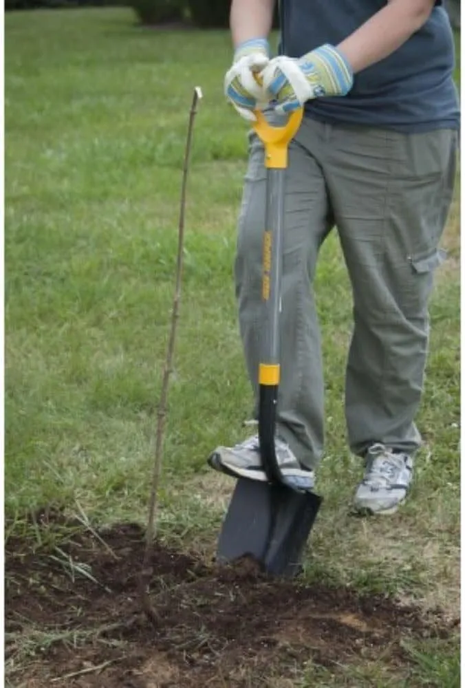 The Ames Companies, Inc 2585900 True Temper D-Grip Digging Shovel with Hardwood Handle
