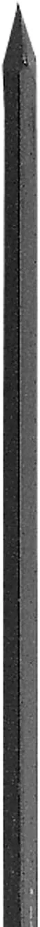 TRUE TEMPER San Angelo 72-Inch Digging and Pry Bar