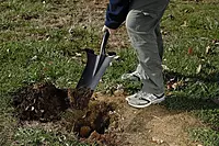 Wood D-Handle Drain Spade Hardwood Handle Drain Trench Spade